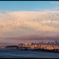 San-Francisco-260-Pano