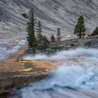 The Gold Rush Takes A Turn