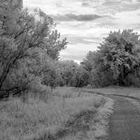 LRCC_IR590_Path_FW_LRCC_IR590_Path_IMG_0287