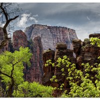 Zion Great White Throne