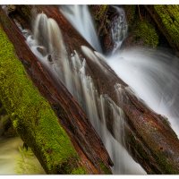 Siouxon Trail Horseshoe Falls