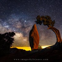 Joshua Tree Moonlit Milky Way