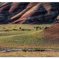 Springtime in the Painted Hills