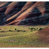 Springtime in the Painted Hills