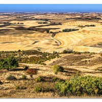 Fall in the Palouse