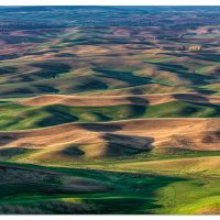 Rolling Green in the Palouse