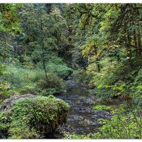 North Fork Silver Creek Trail