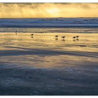 Beverly Beach