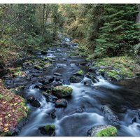 Sweet Creek - Fall 2019