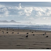 Cold Day at the Beach