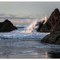 Splash