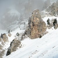 Wayfarer