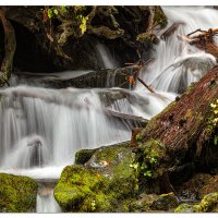 A Small Scene at Merriman Falls
