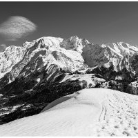 Prarion (B&W)