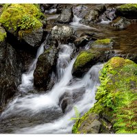 Oregon Coast Trail