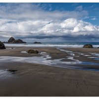 Low Tide Patterns