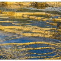 Mammoth Hot Springs Sunrise