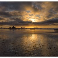 Ruby at Low Tide