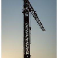 The Crane