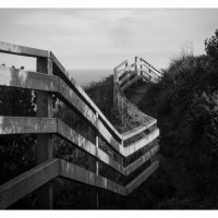 Fence on the Ridge