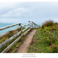 Lyall Bay Ridge