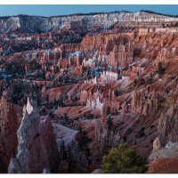 Blue Bryce