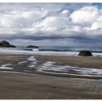 Low Tide Scene