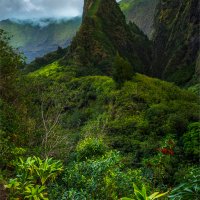 2832 Iao Needle Portrait_850.jpg
