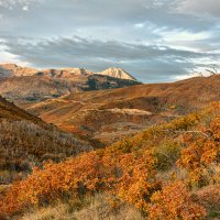 151017-2638-5DS- R.jpg