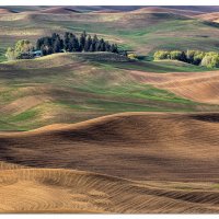 Palouse Terrain