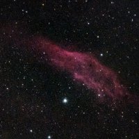 California Nebula