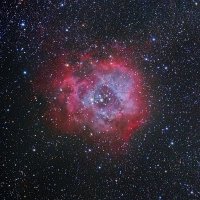 Rosette Nebula