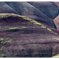 Painted Hills in the Spring