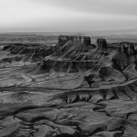 200507-12823-5DS R b&w.jpg