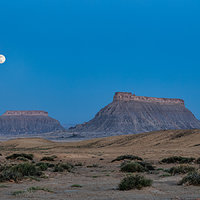 200507-12794-5DS R.jpg