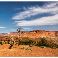 Panorama Point