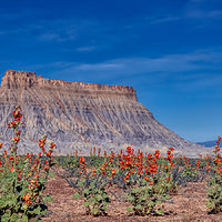 200601-13714-5DS R stack2.jpg