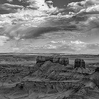 200529-13191-5DS R B&W.jpg