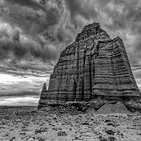 200530-13344-5DS R b&w copy.jpg