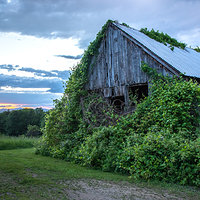 Abandoned Farm III