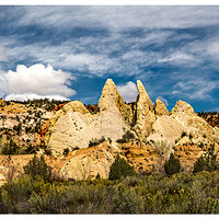 Cottonwood Canyon