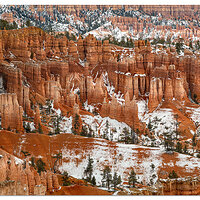 Fresh Snow Bryce