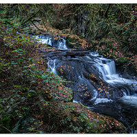 Sweet Creek