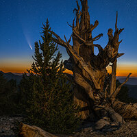 Traveler to an Antique Land.jpg