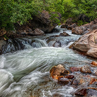 200717-13838-5DS R.jpg