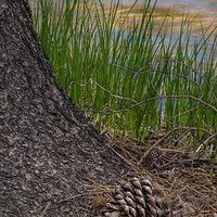 The Next Generation.jpg