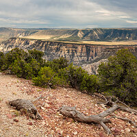 LRCC_sRGB_FW_TAP46087-Edit-2.jpg