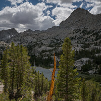 Revolutionary Thinking.jpg