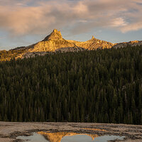 Pothole Reflections.jpg