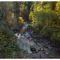 Eagle Creek